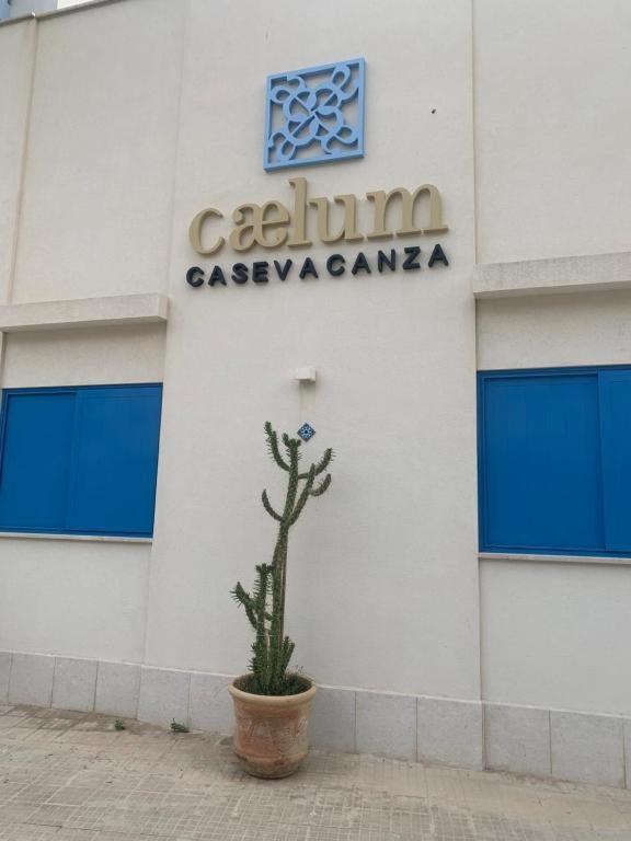 Caelum Case Vacanza Trapani Exterior foto